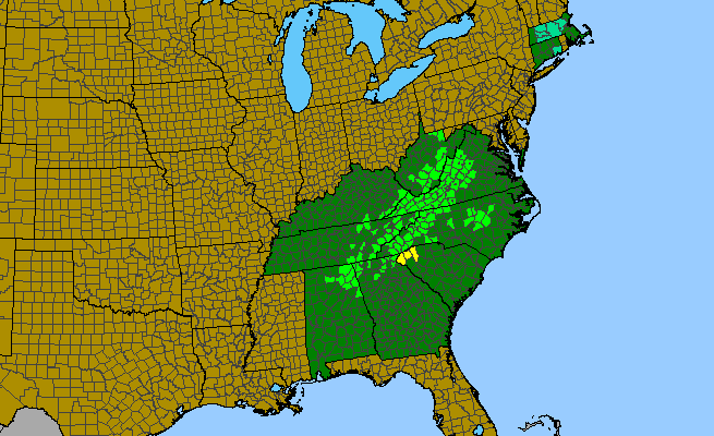 The range of Rhododendron catawbiense